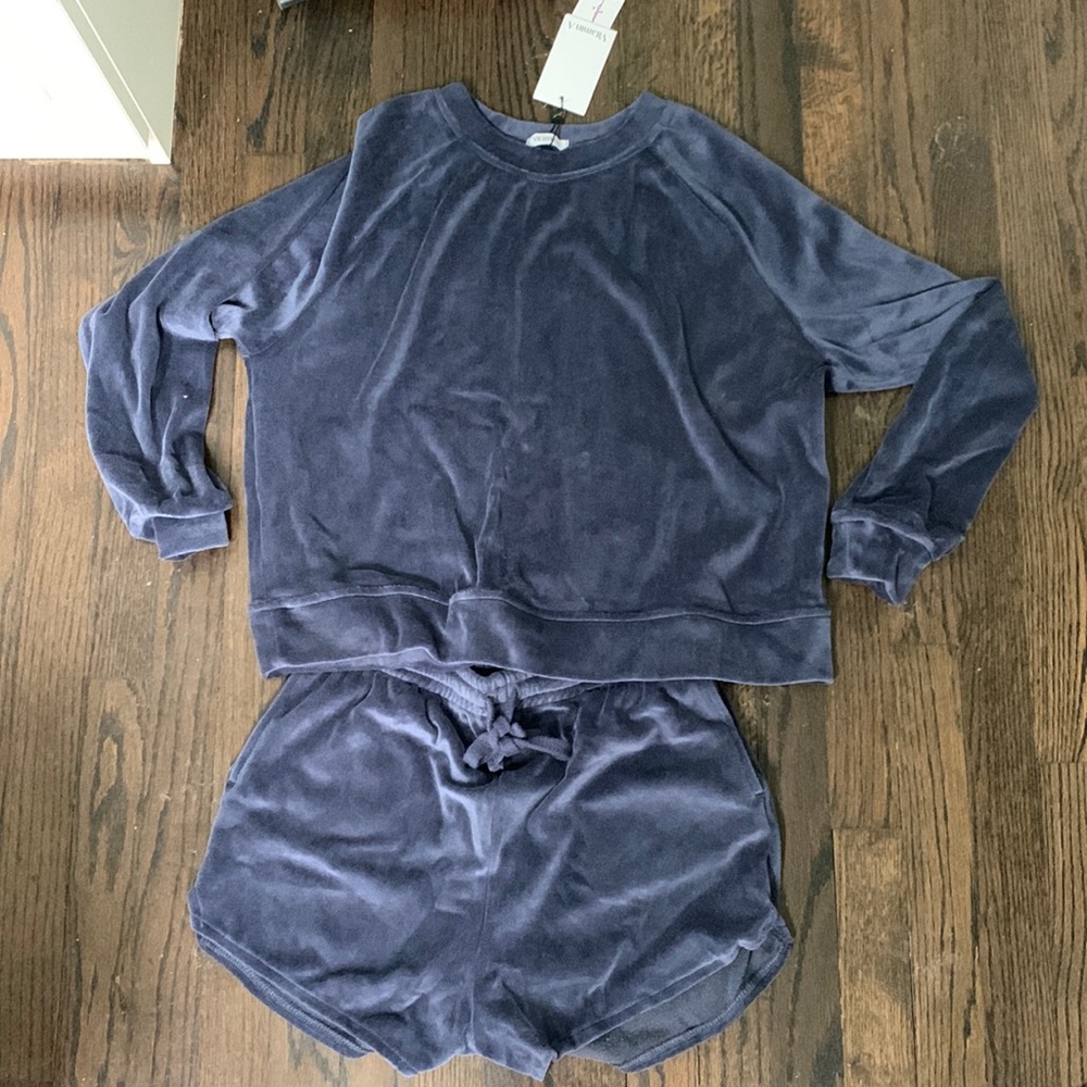 NWT Vitamin A Eco Plush velour shorts and sweatshirt set. Sz:small in grey pearl